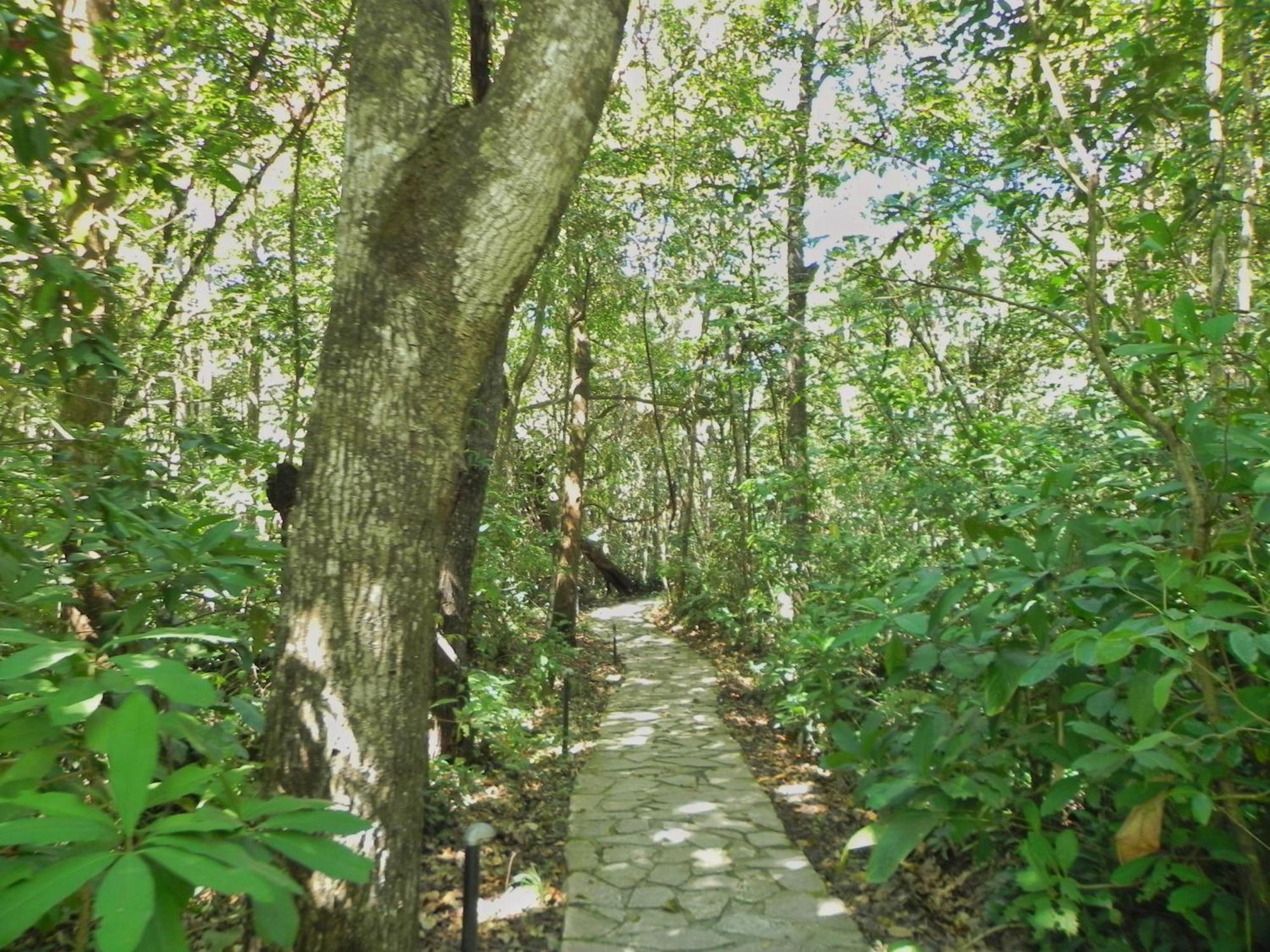 Pousada Eden - Conforto, Imersao E Natureza เซาจอร์จิ ภายนอก รูปภาพ