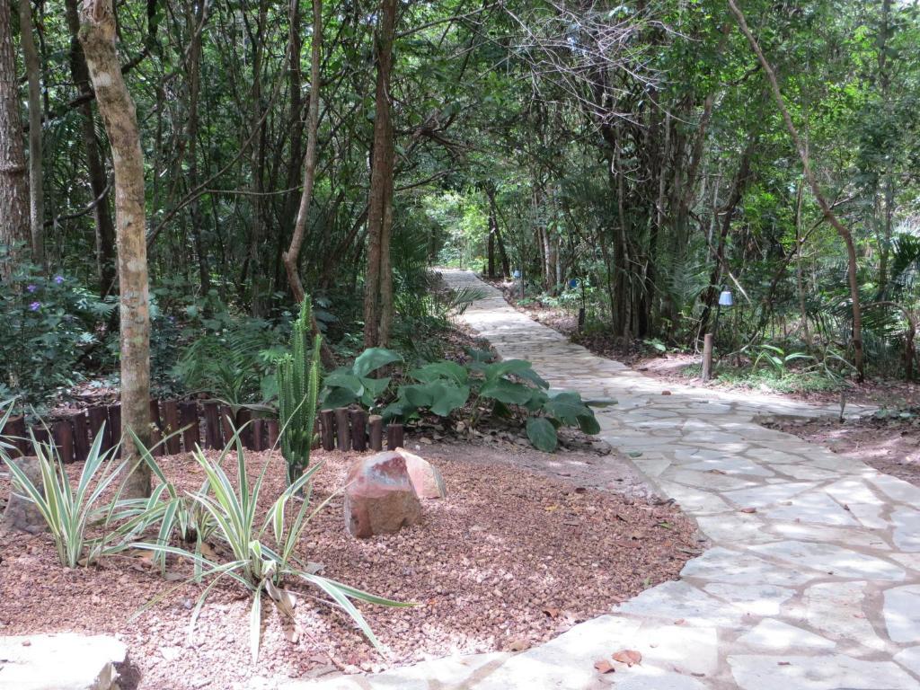 Pousada Eden - Conforto, Imersao E Natureza เซาจอร์จิ ภายนอก รูปภาพ