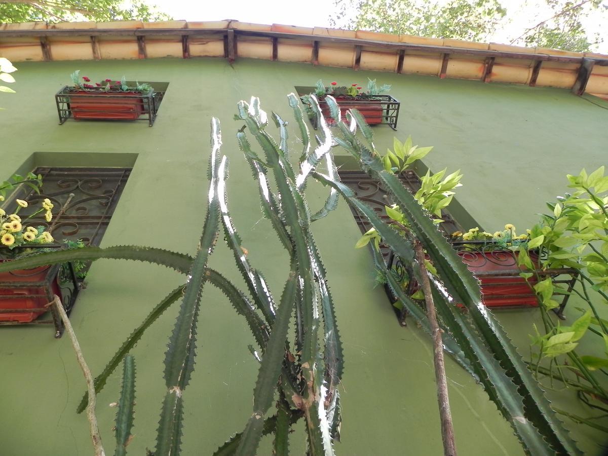 Pousada Eden - Conforto, Imersao E Natureza เซาจอร์จิ ภายนอก รูปภาพ